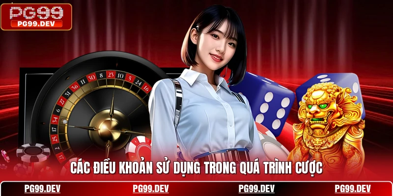 Các điều khoản sử dụng trong quá trình cược